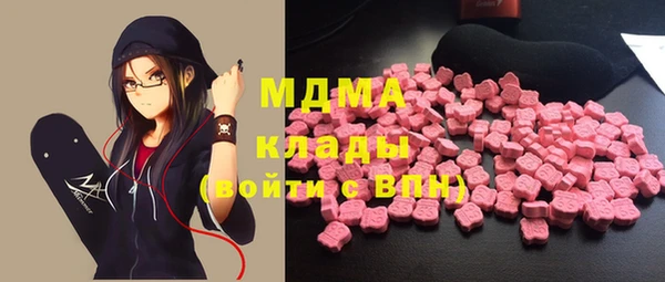 индика Каменногорск