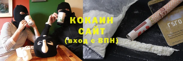индика Каменногорск