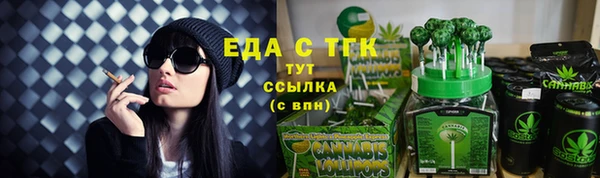 индика Каменногорск
