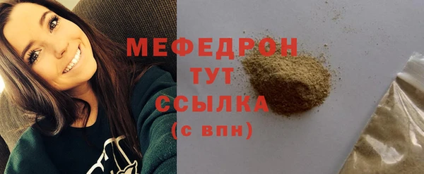 индика Каменногорск