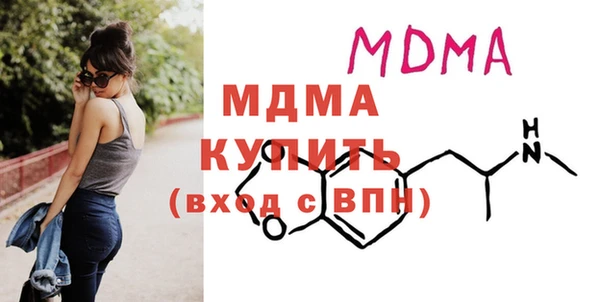 индика Каменногорск