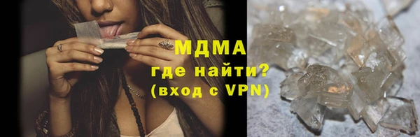 индика Каменногорск