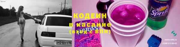 индика Каменногорск