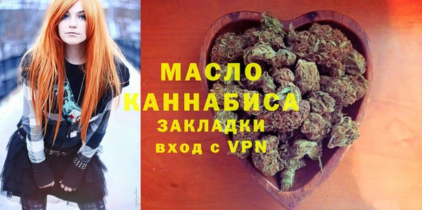 индика Каменногорск