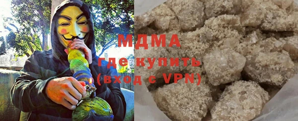 индика Каменногорск