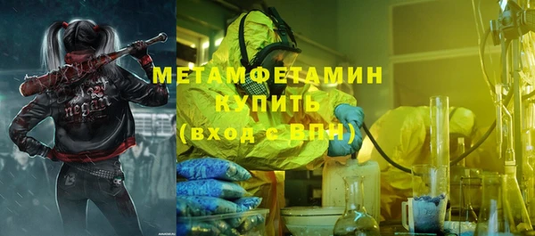 индика Каменногорск