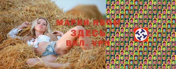 индика Каменногорск