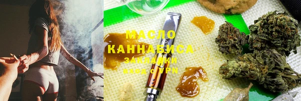 индика Каменногорск