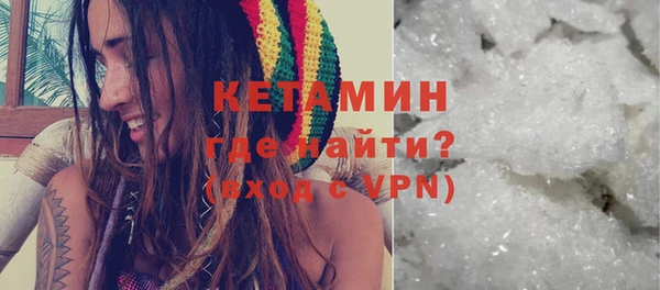 индика Каменногорск